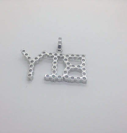 Custom 50 POINTER Moissanite Letter/Name Pendant